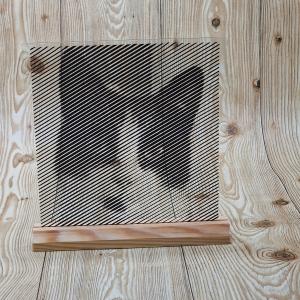 Glasplaat - Streepjesfoto